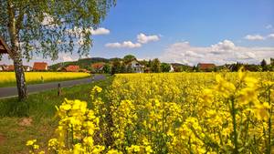 Blick auf Lauchröden © Karen Hartung Ortseingang Lauchröden05 2017KH