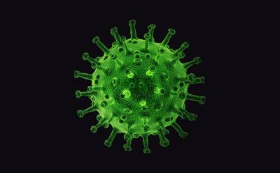 virus PIRO4D auf Pixabay