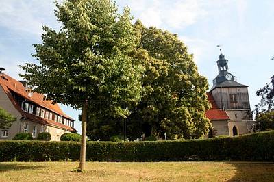 Neugestaltung 23f95cb2667097ddc985f8f2f643d