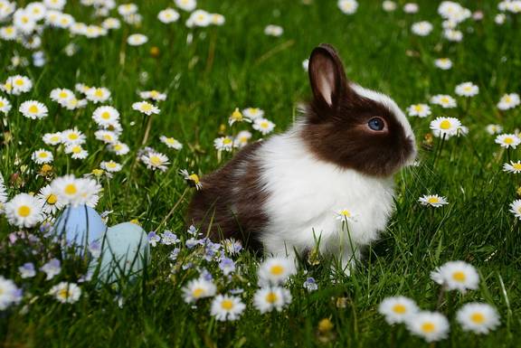 easter 2174681 1920