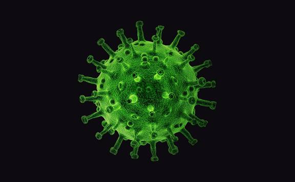 virus PIRO4D auf Pixabay