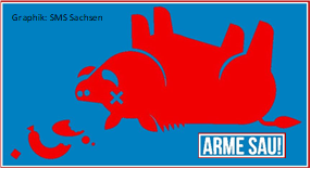schweinepest