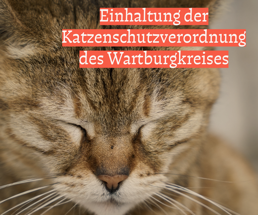 unbenannt