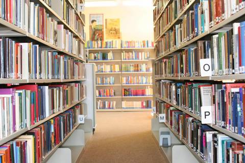 schöne literatur
