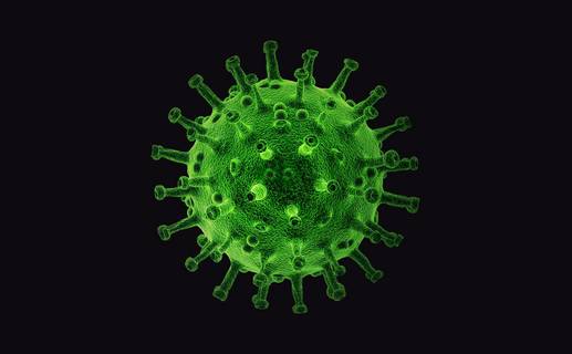 virus PIRO4D auf Pixabay