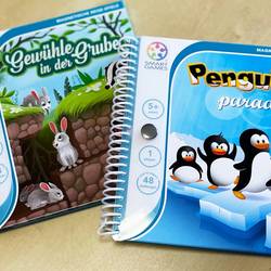 Neues in der Gemeindebibliothek © Bibliothek smart games magnetspiele