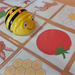 bee bot
