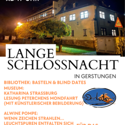 flyer sn