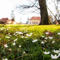 SchlossparkWilhlemsthal Park Schloss Wilhelmsthal