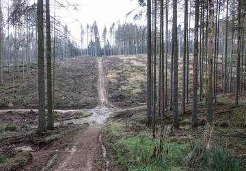 In der Kohlbach