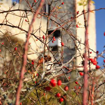 Kemenate1 11 2015KH Ruine Brandenburg