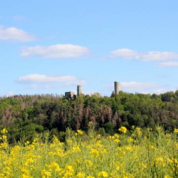 Brandenburg Raps