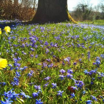 Park Blausternchen Park am Friedhof Gerstungen