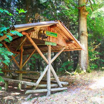 SRennsteig Wilhelmsbuche Rastplatz am Sallmannshäuser Rennsteig