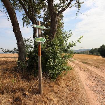 Lerchenberg Dietrichsberg Am Sallmannshäuser Rennsteig