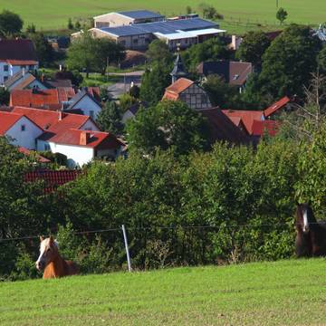 AnsichtBurkhardtroda Pferde09 2020KH