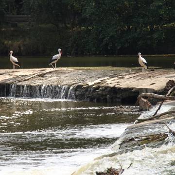 Am Sallmannshäuser Wehr Am Sallmannshäuser Wehr