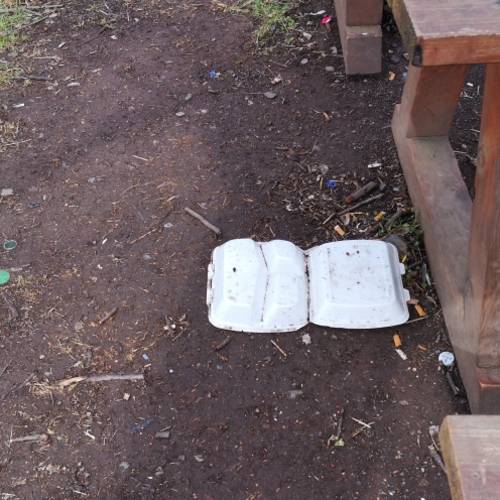 IMG 0447 IMG 0447