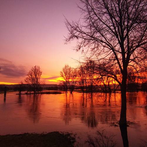 HochwasserMorgenrot amPegel27.12.2023