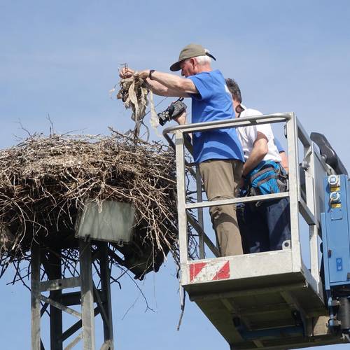 Nest Müll