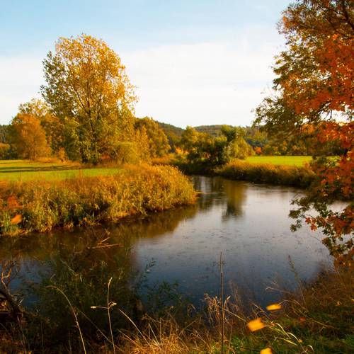 Herbst inderSteinau1