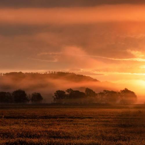 Morgensonne imSeptember