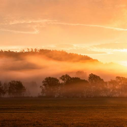 Morgensonne imSeptember1