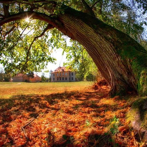 Schloss Wilhelmsthal &copy; Karen Hartung