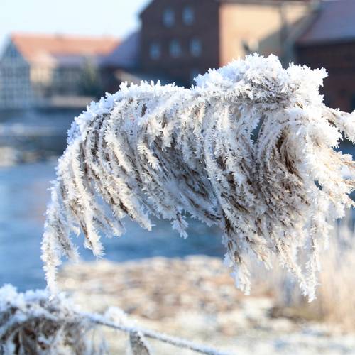 Winter in Sallmannshausen