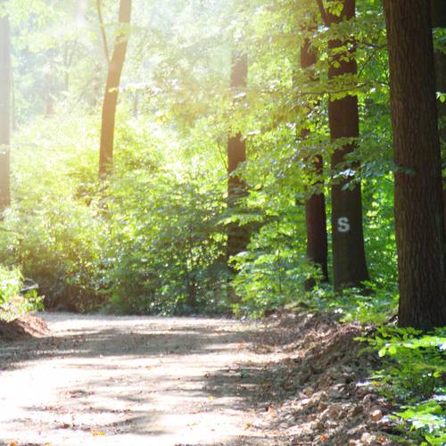 Wanderrouten