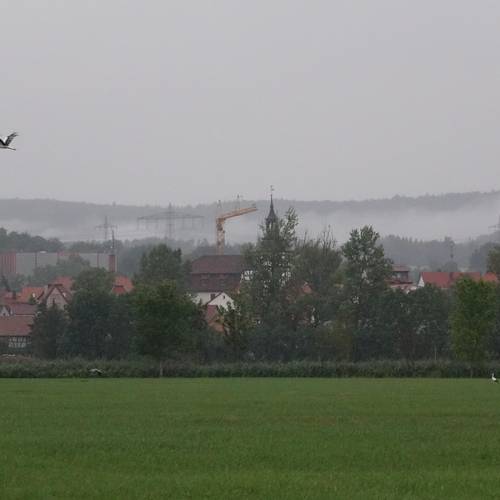 DSC08436 DSC08436