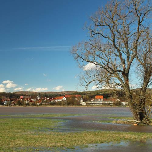 Gerstunger Forstaue mit Blick auf den Ort Gerstunger Forstaue mit Blick auf den Ort
