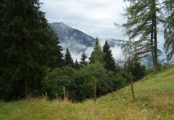 Brunneralm1 Leo G