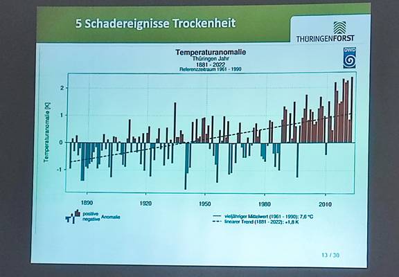 Forsteinrichtung3