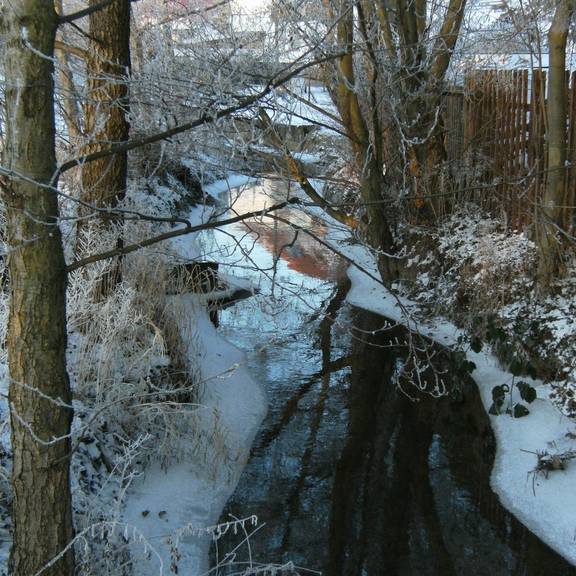BILD0108