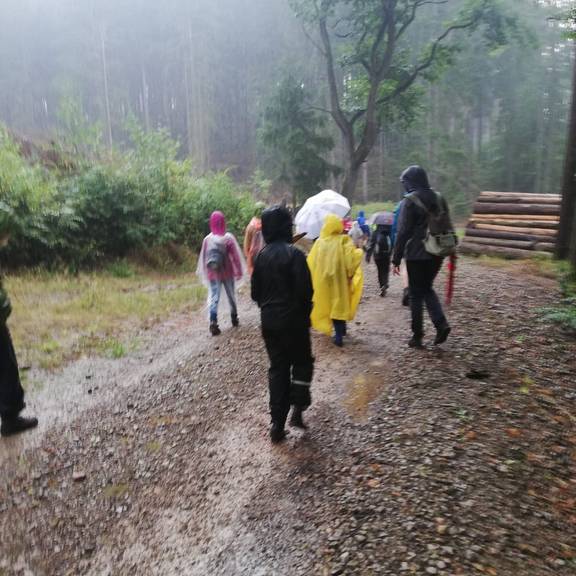 Wandern im Regen2