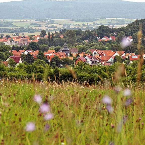 Dorfansicht von Neustädt
