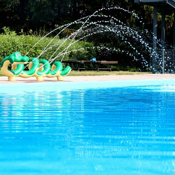 WasserschlangeMai2018KHFB