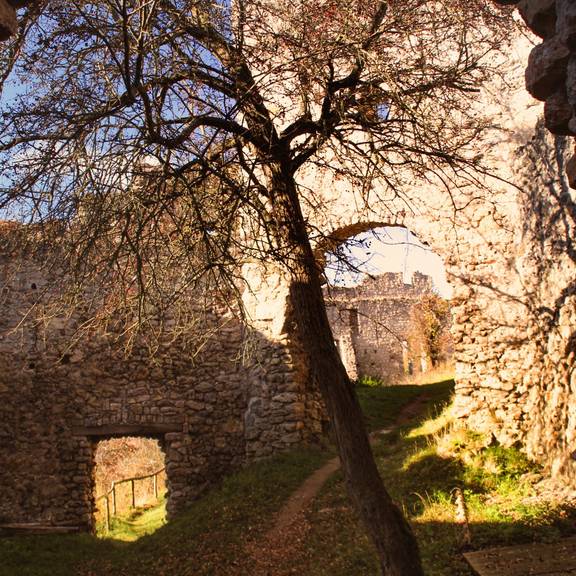 Burghof11 2015KH Im Burghof