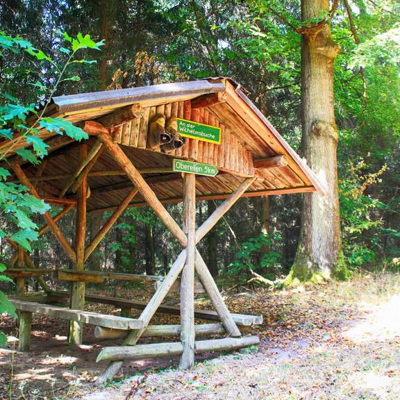 SRennsteig Wilhelmsbuche Rastplatz am Sallmannshäuser Rennsteig