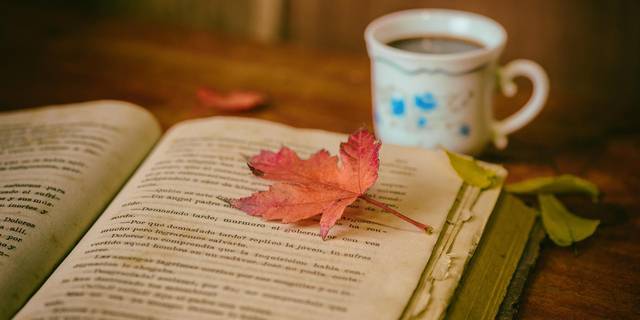 Lesecafé ©josealbafotos auf pixabay leaves g214d68239 1920