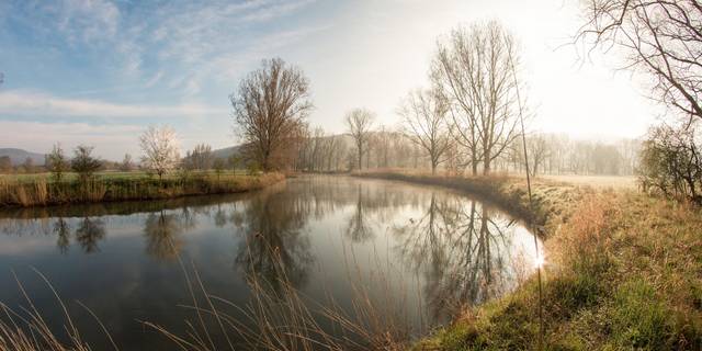 naturschutzgebietaltewerra04 2016kh
