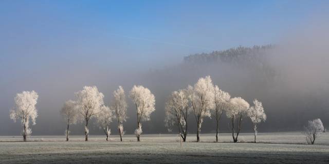 Winterlandschaft am "Böller"